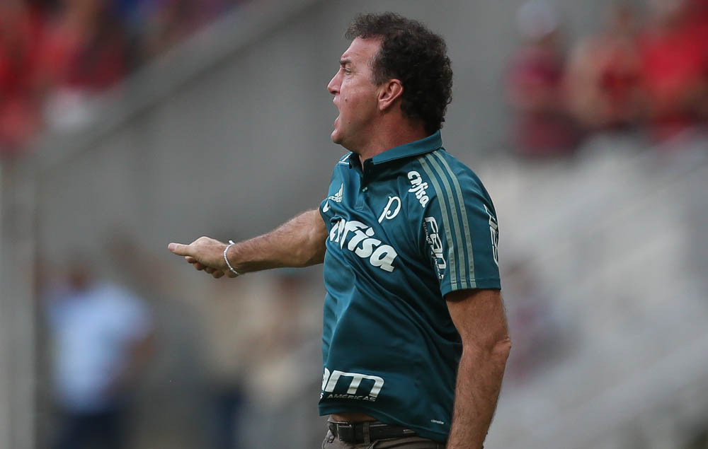 Imagem ilustrativa para a matéria