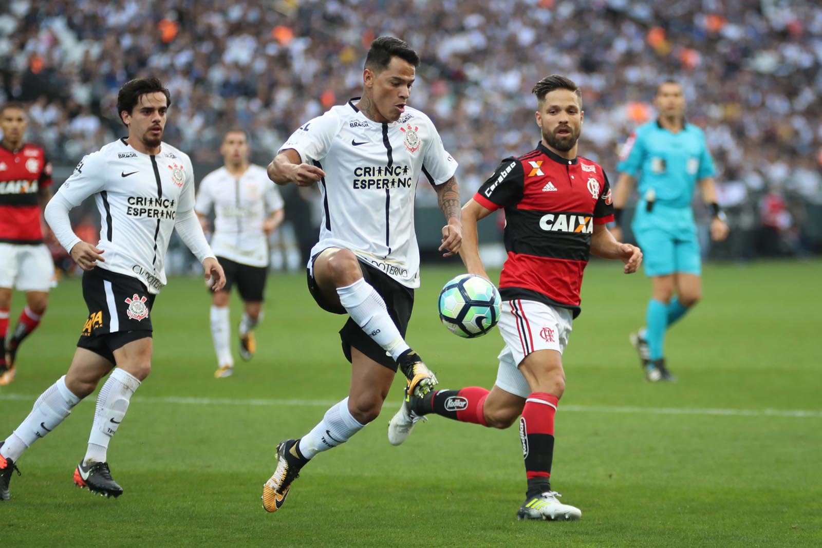 Imagem ilustrativa para a matéria