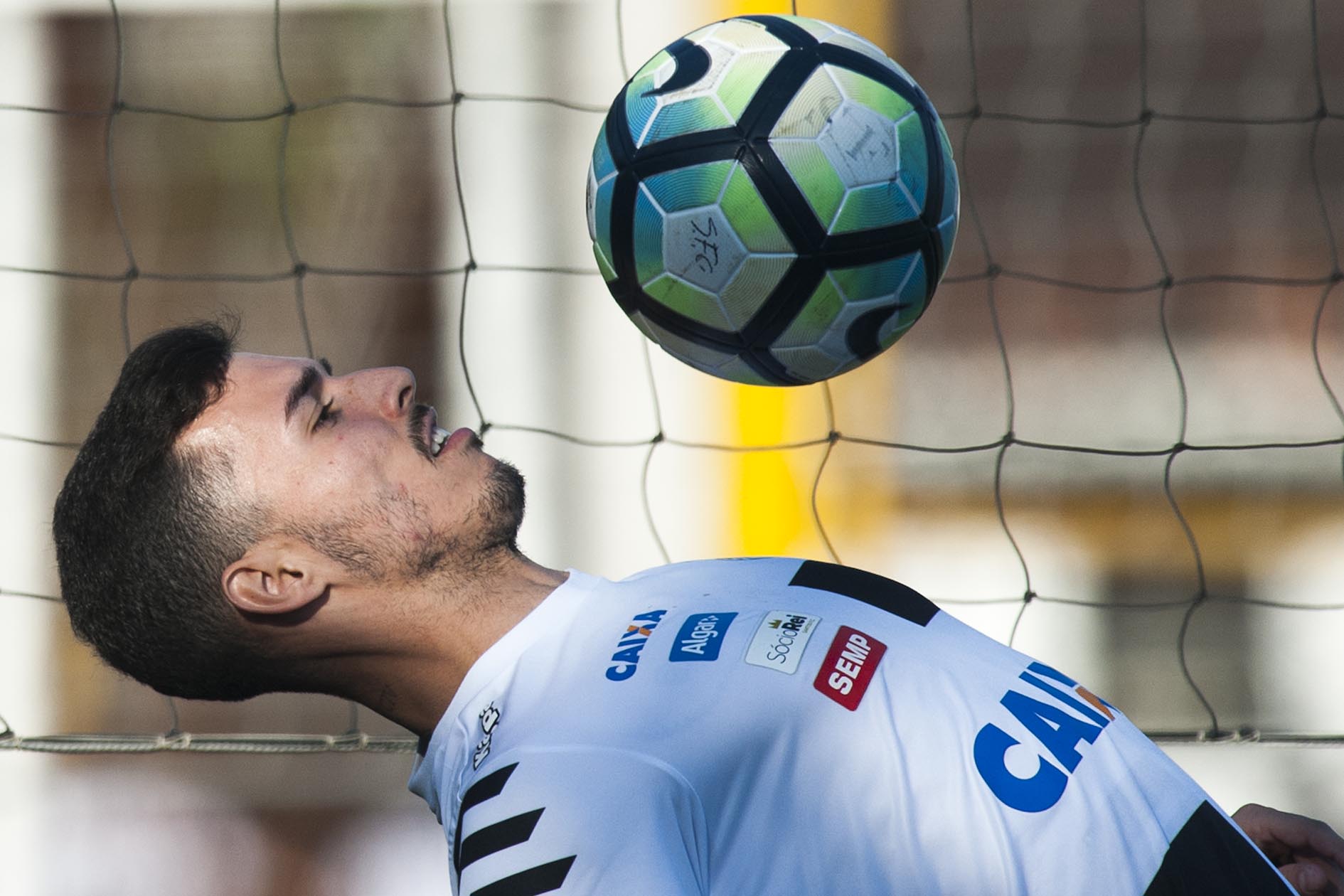 Imagem ilustrativa para a matéria