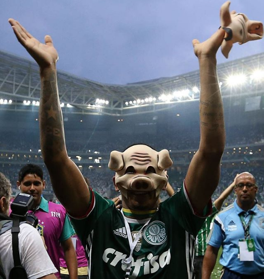 Imagem ilustrativa para a matéria