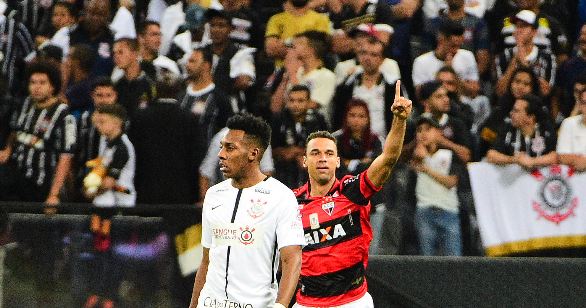 Imagem ilustrativa para a matéria