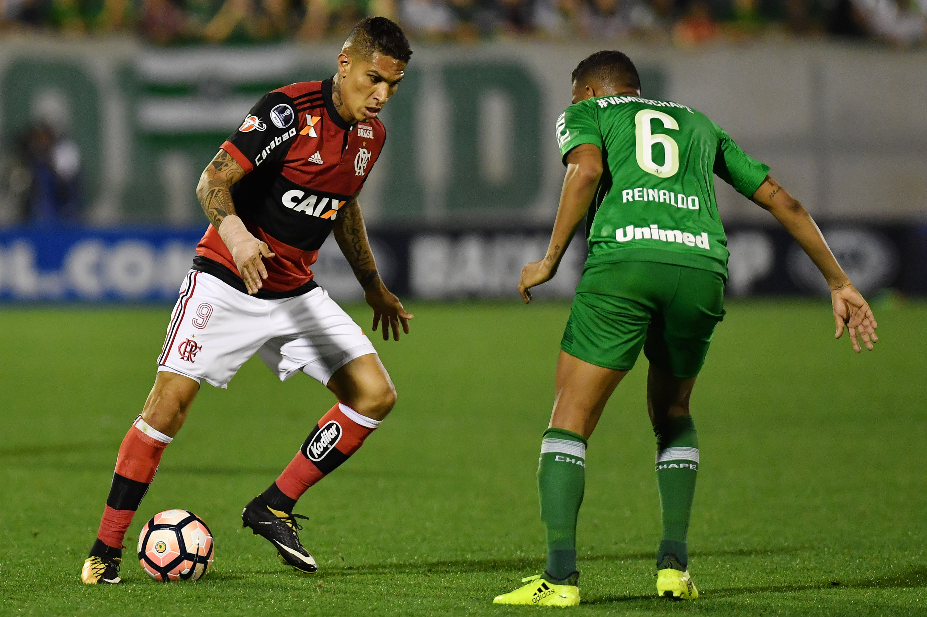 Imagem ilustrativa para a matéria