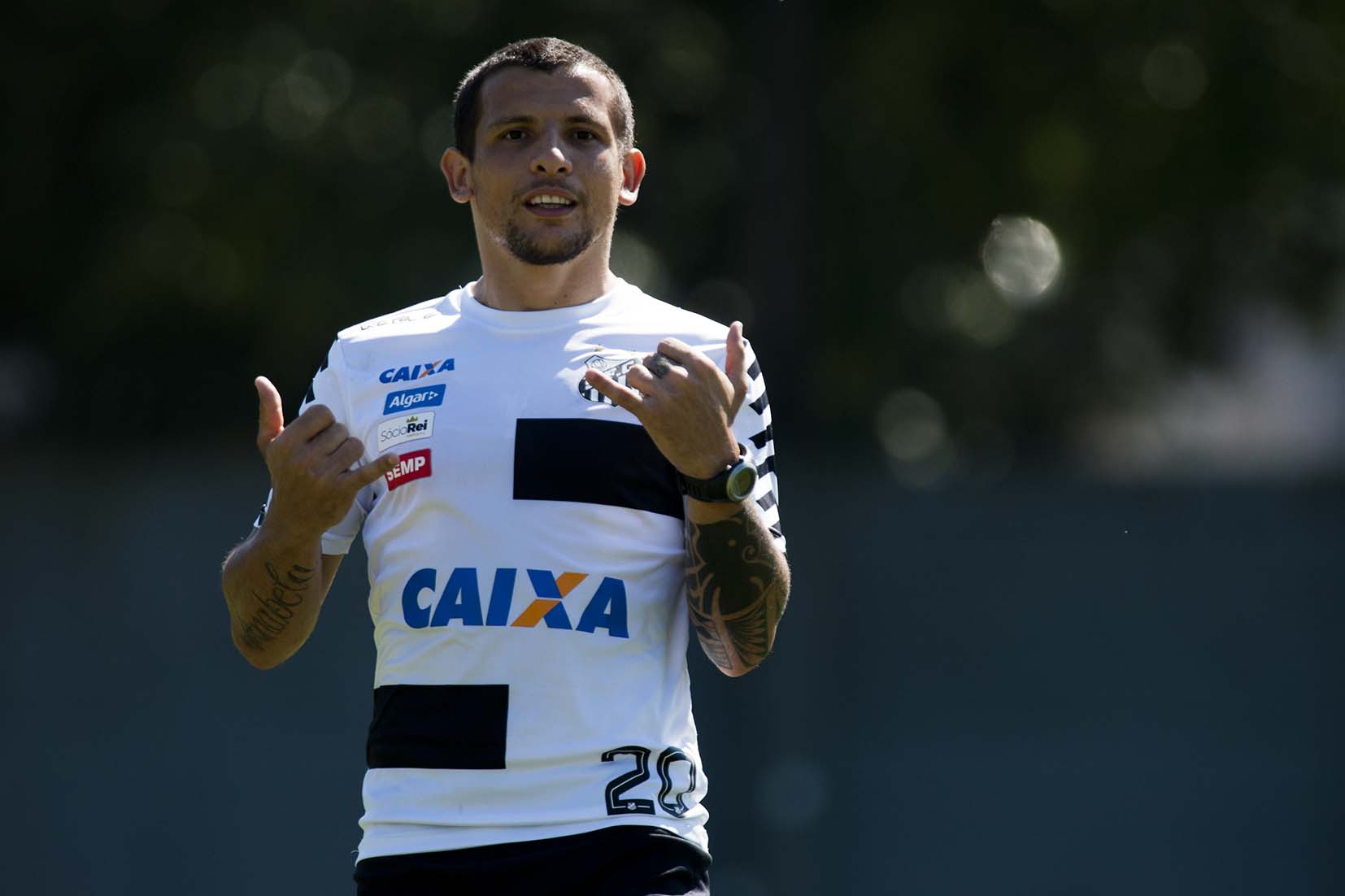 Imagem ilustrativa para a matéria