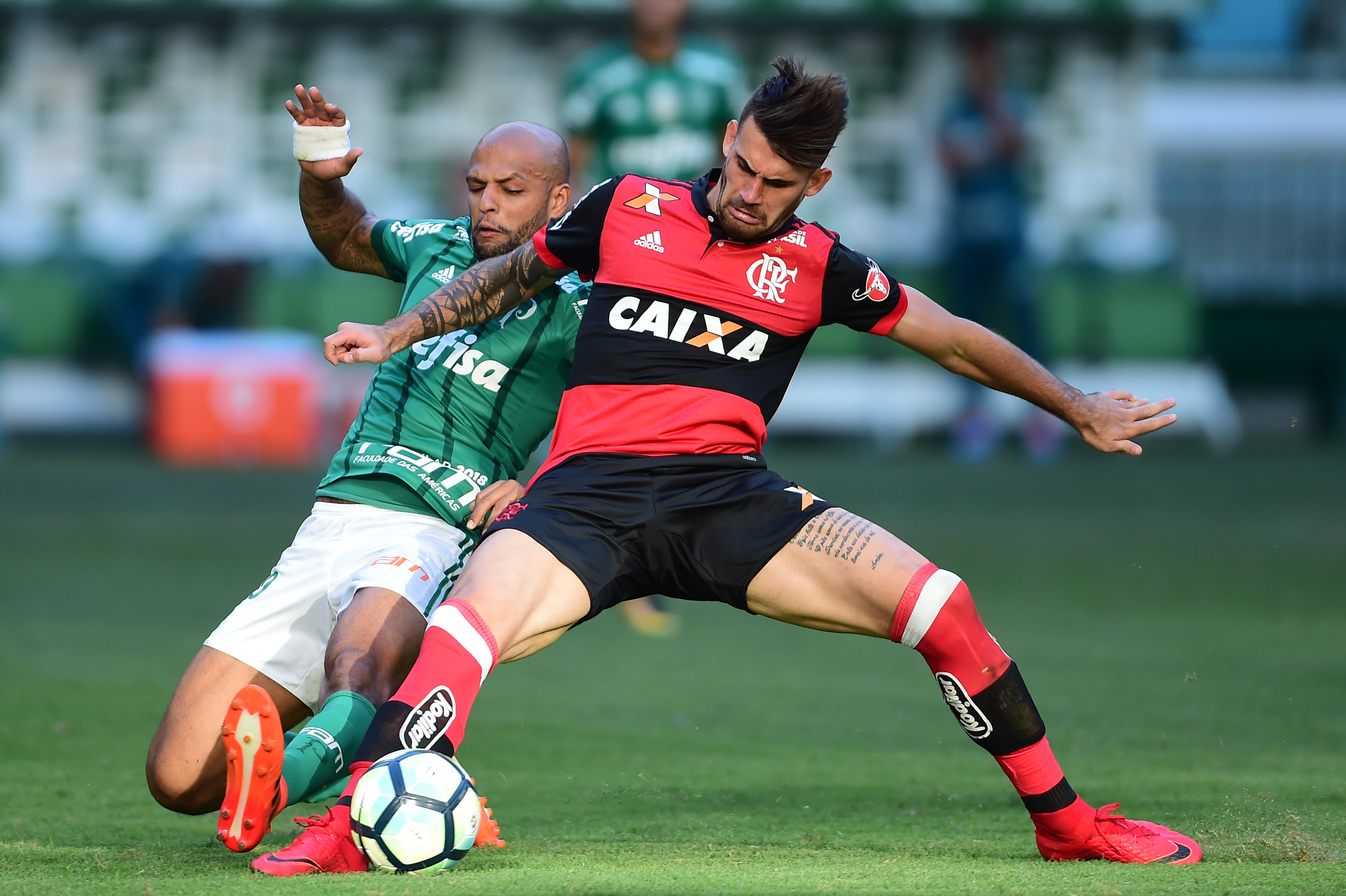 Imagem ilustrativa para a matéria