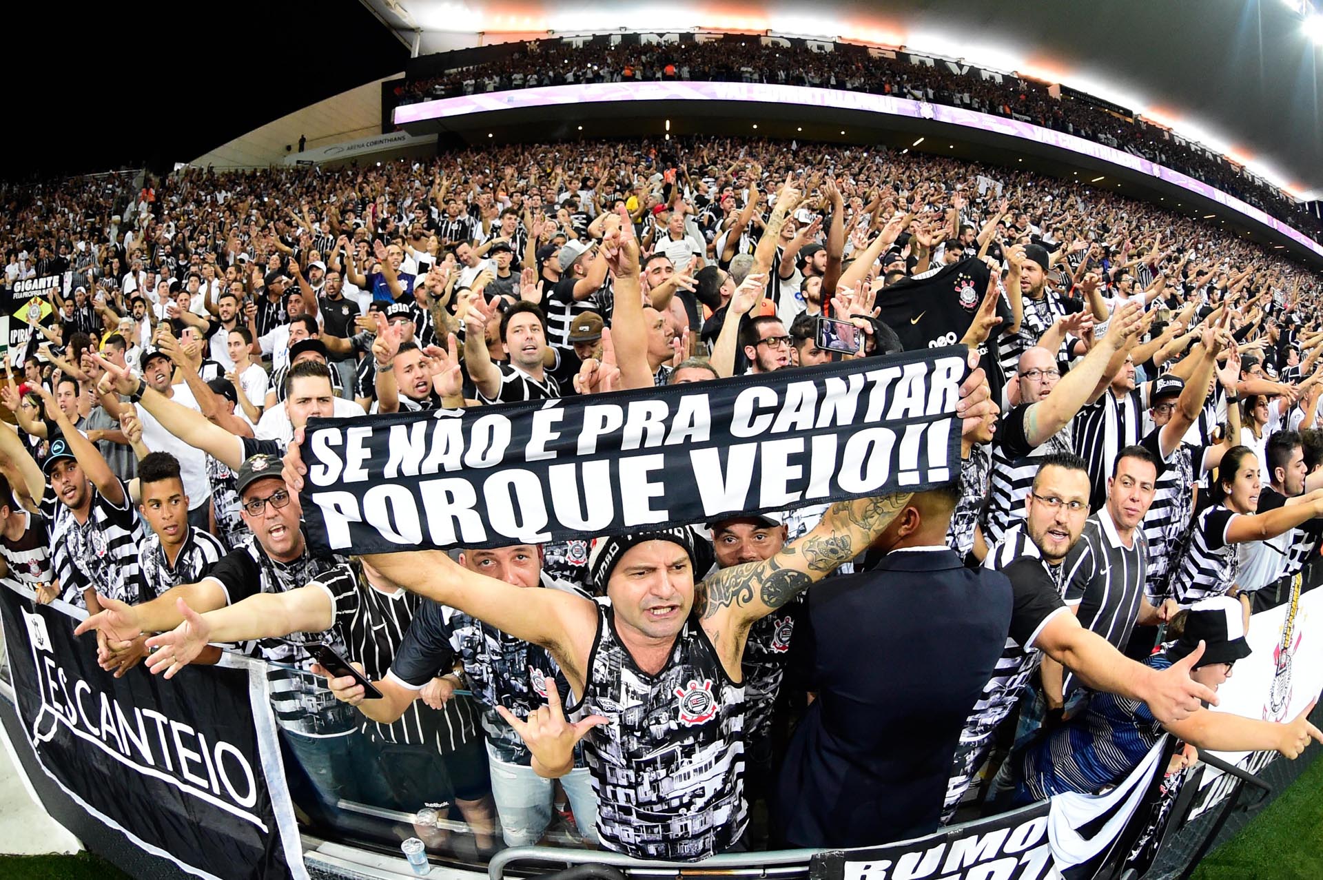 Imagem ilustrativa para a matéria