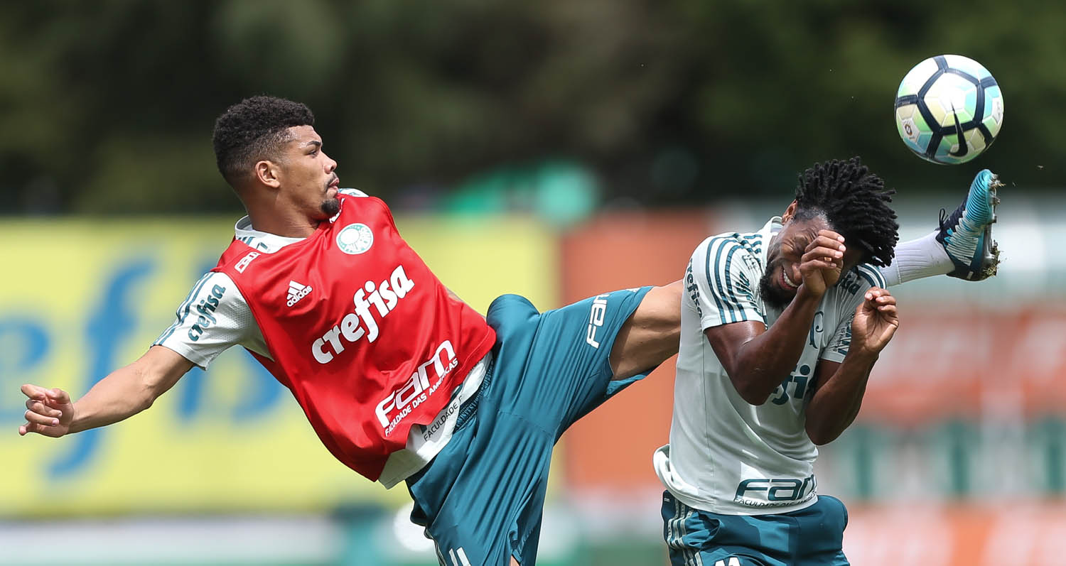 Imagem ilustrativa para a matéria