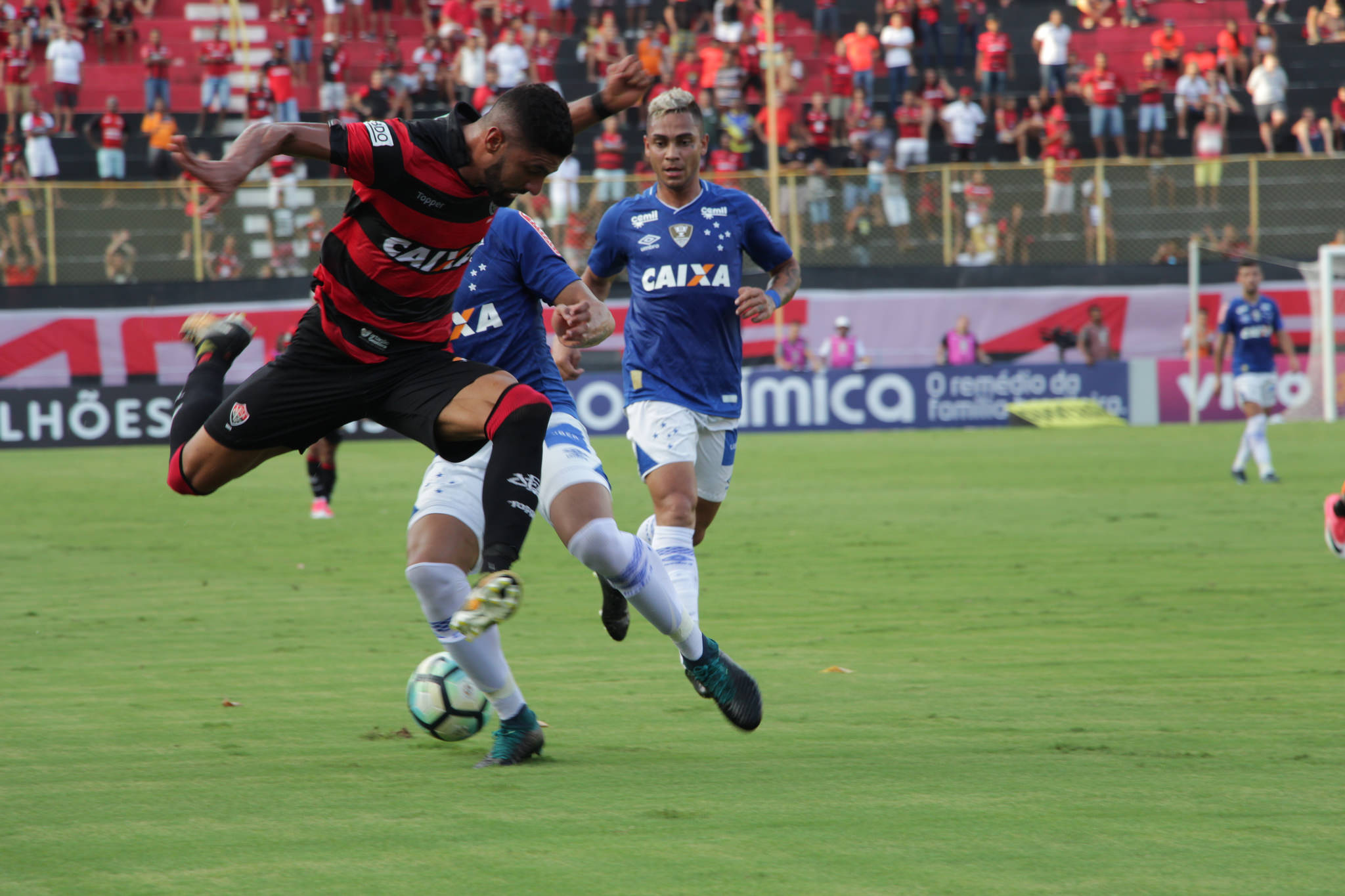 Imagem ilustrativa para a matéria