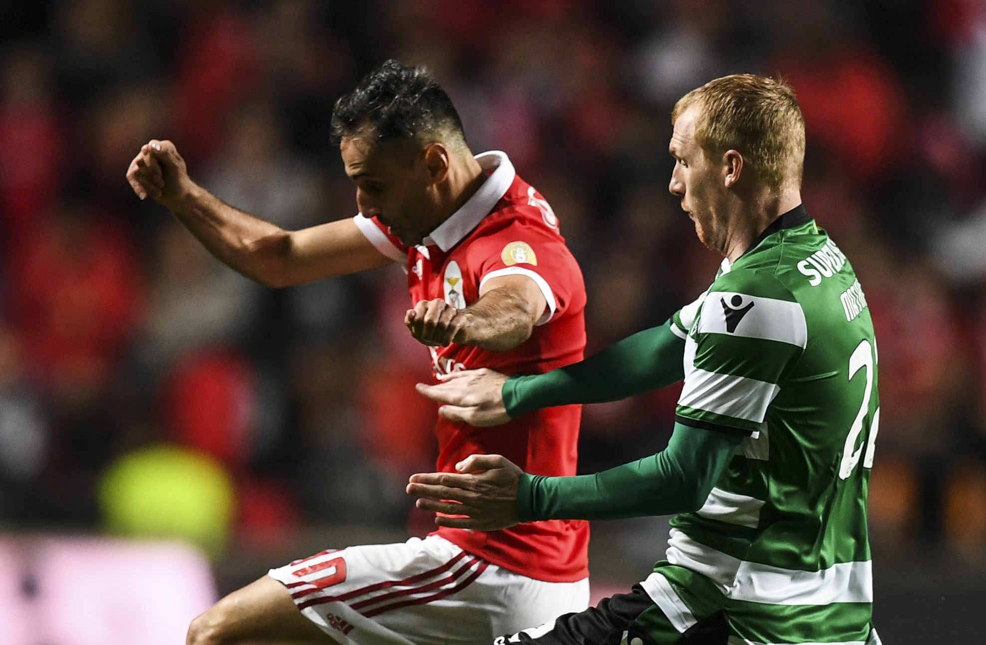 Imagem ilustrativa para a matéria