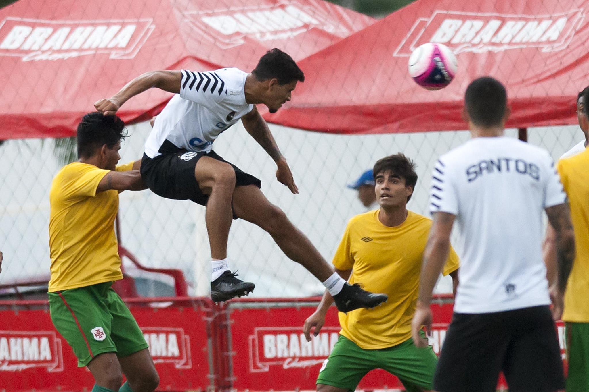 Imagem ilustrativa para a matéria