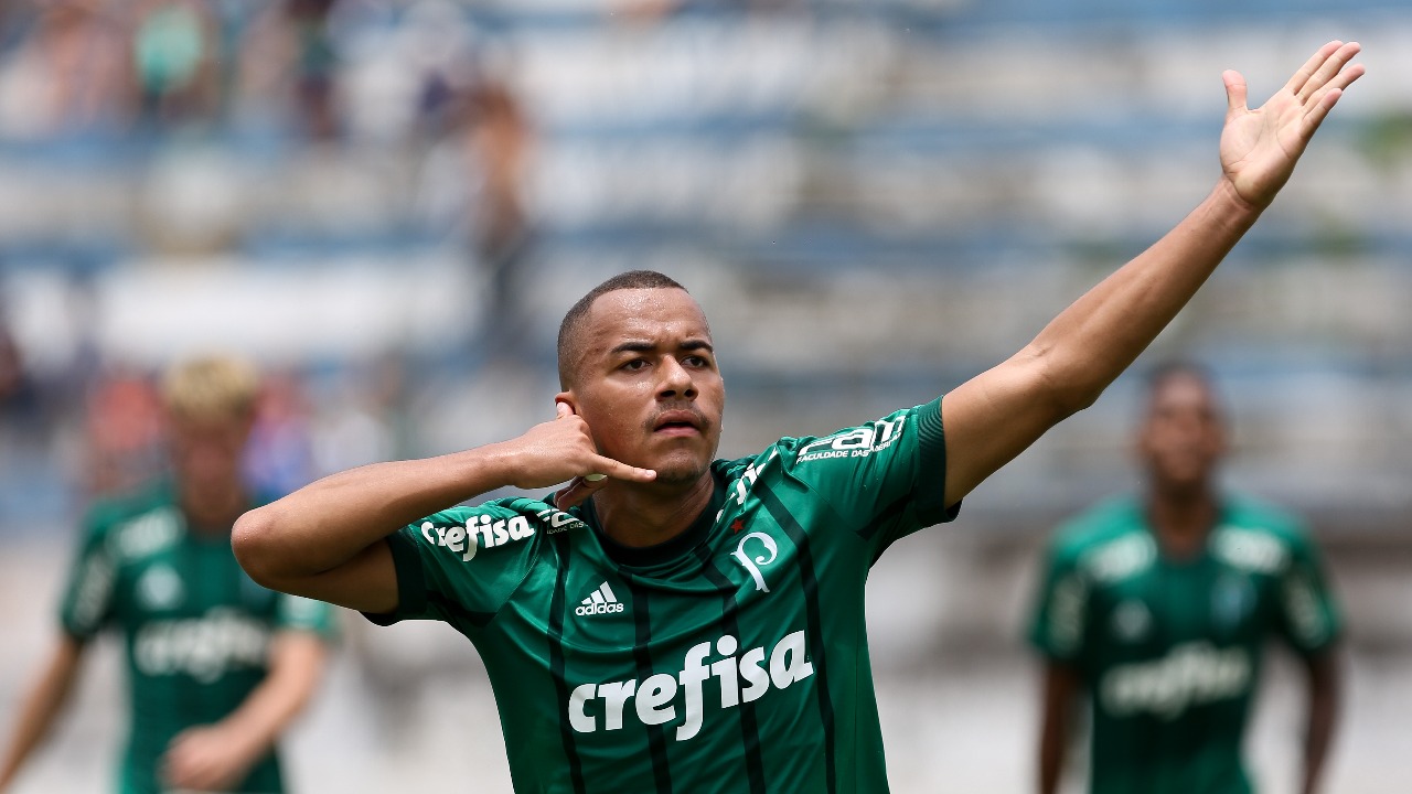 Imagem ilustrativa para a matéria