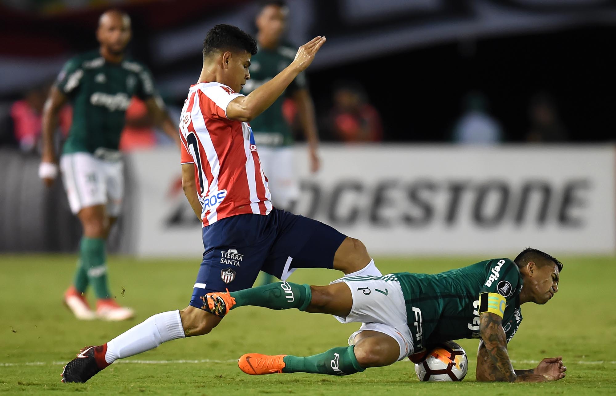 Palmeiras estreia na Libertadores contra o Junior Barranquilla; Saiba tudo sobre o jogo!