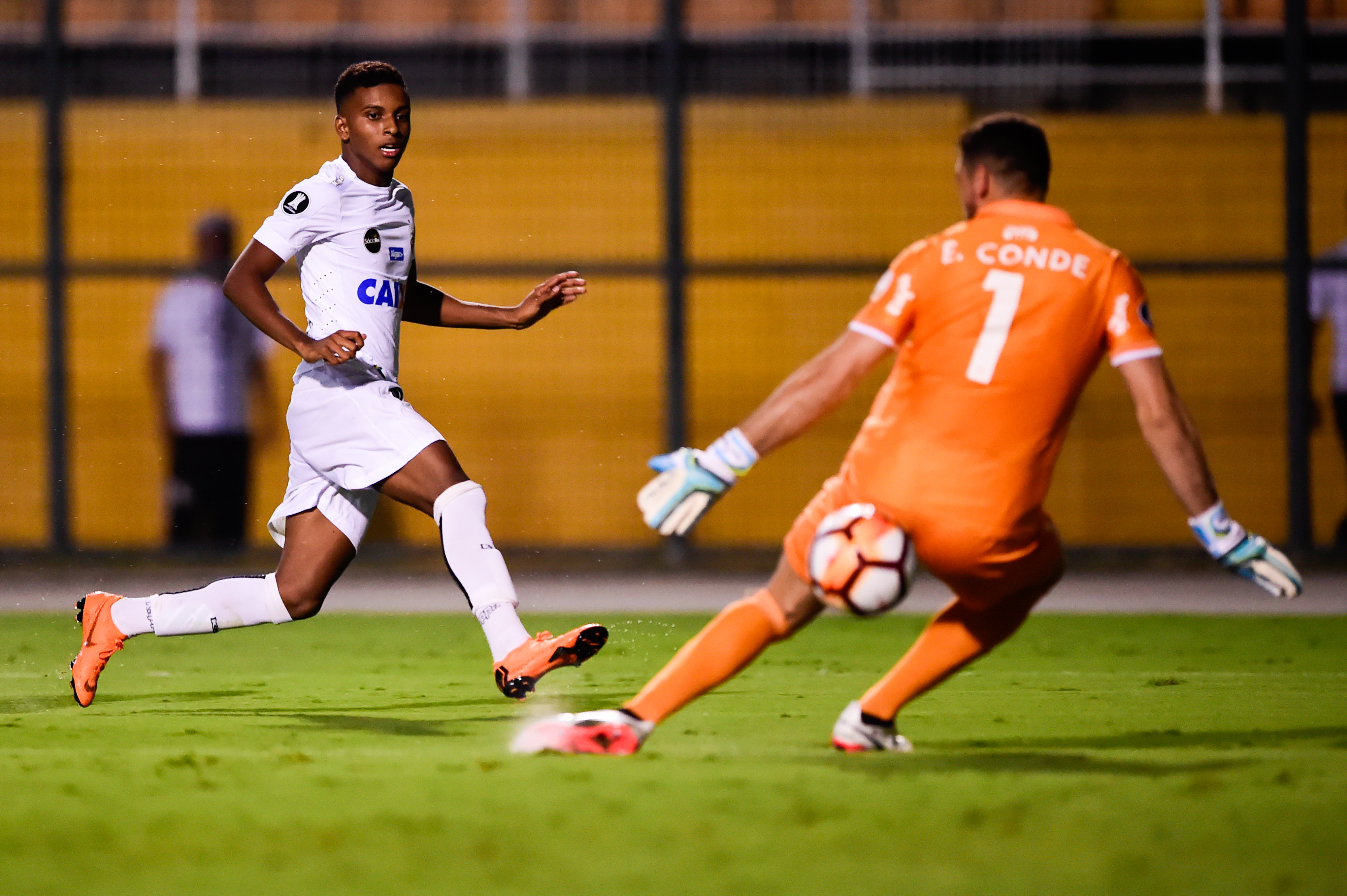 Imagem ilustrativa para a matéria