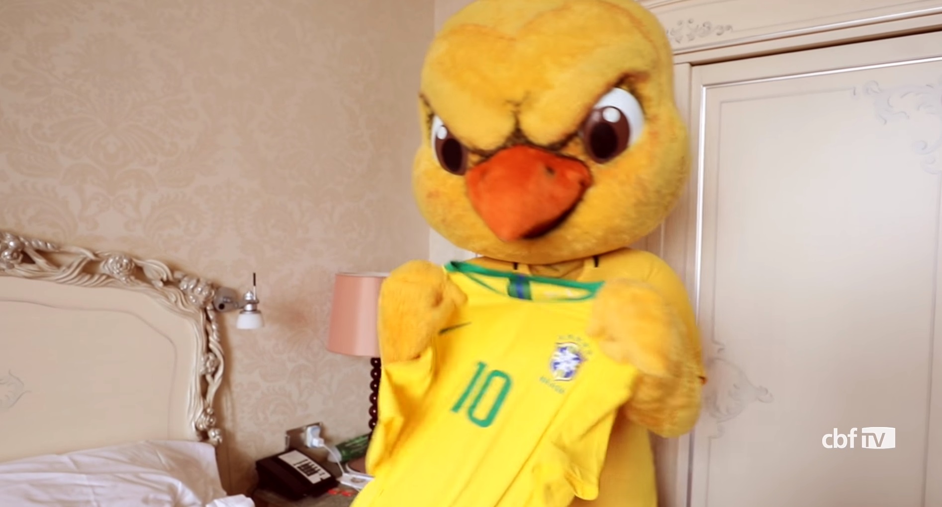 Imagem ilustrativa para a matéria