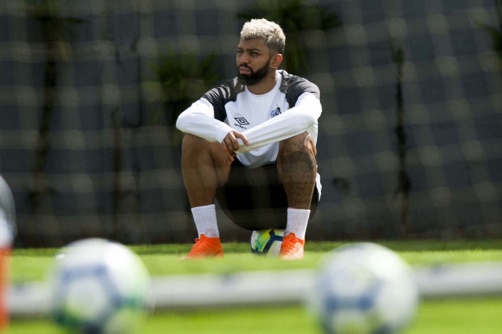 Imagem ilustrativa para a matéria