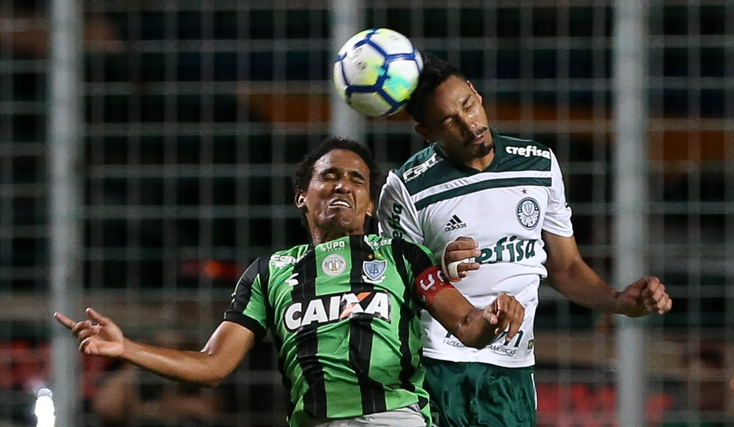 Imagem ilustrativa para a matéria