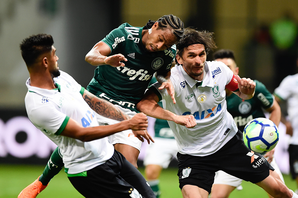 Imagem ilustrativa para a matéria