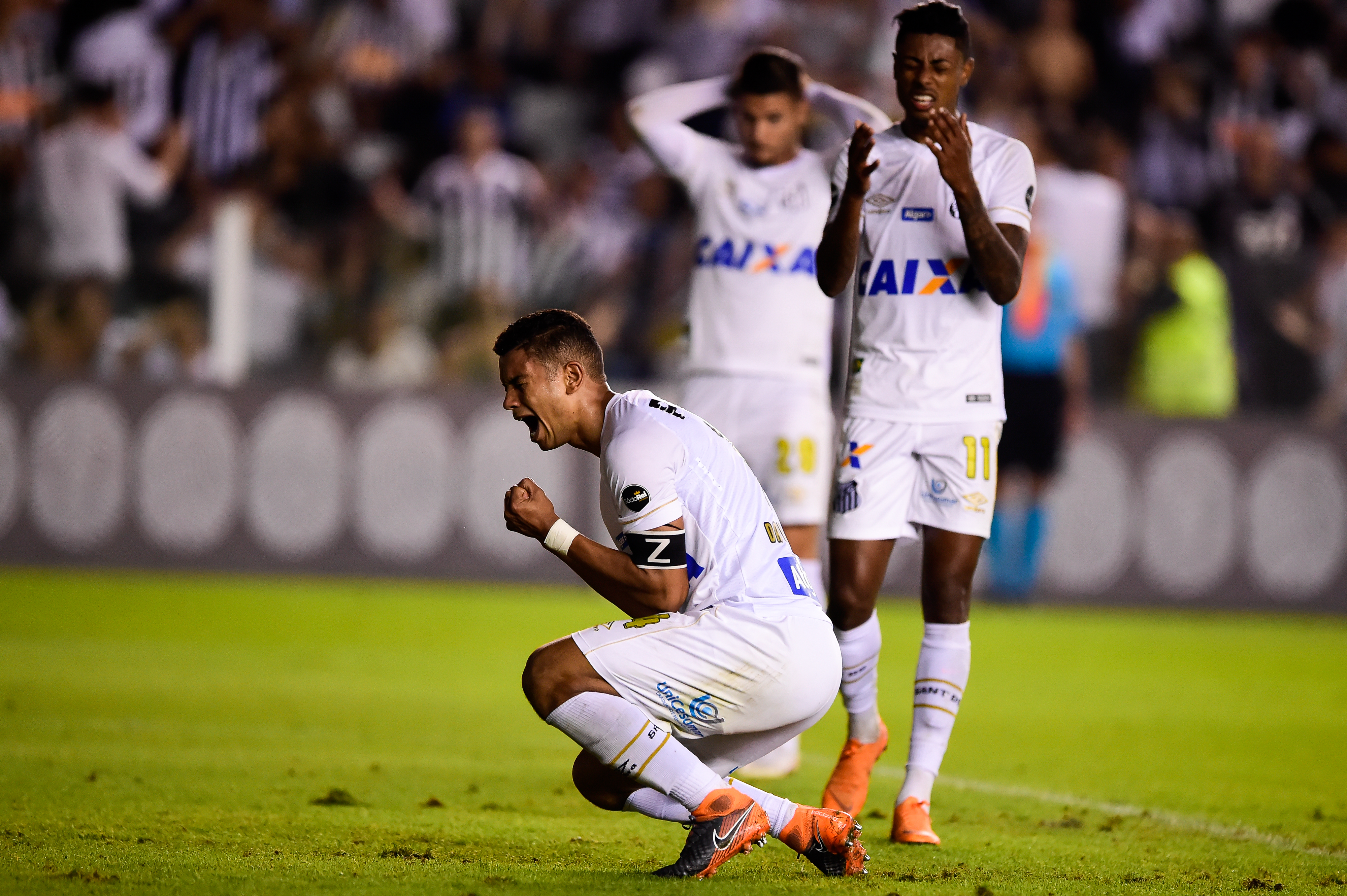 Imagem ilustrativa para a matéria
