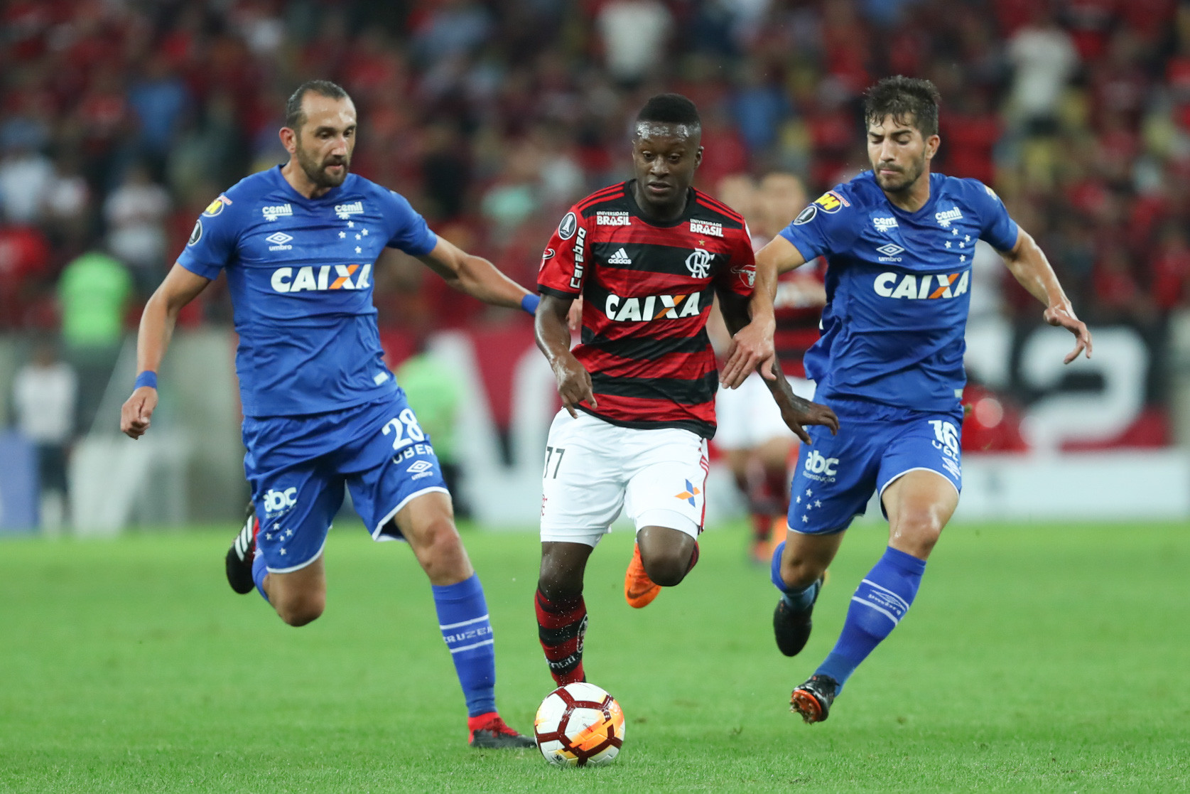 Imagem ilustrativa para a matéria