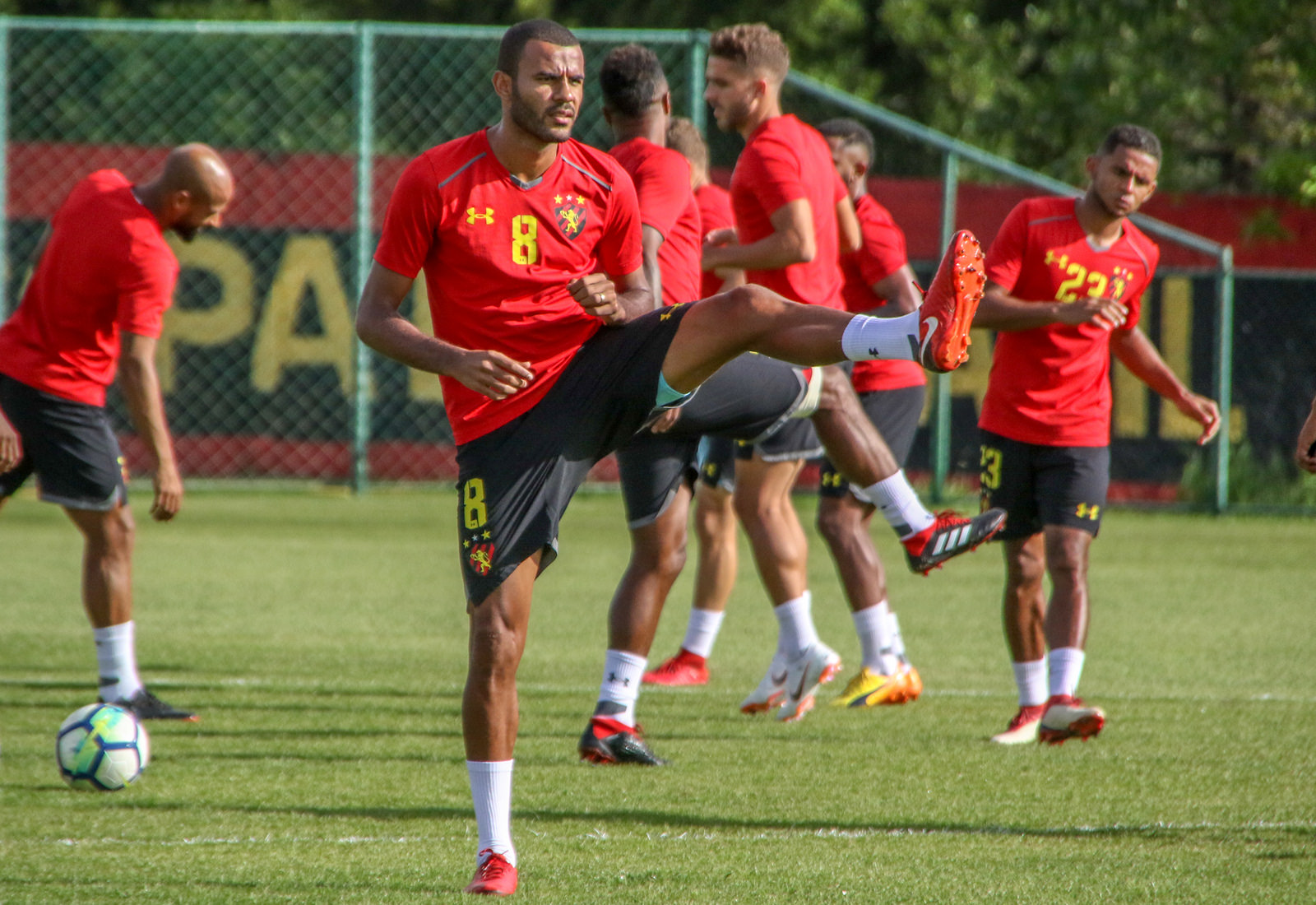 Imagem ilustrativa para a matéria