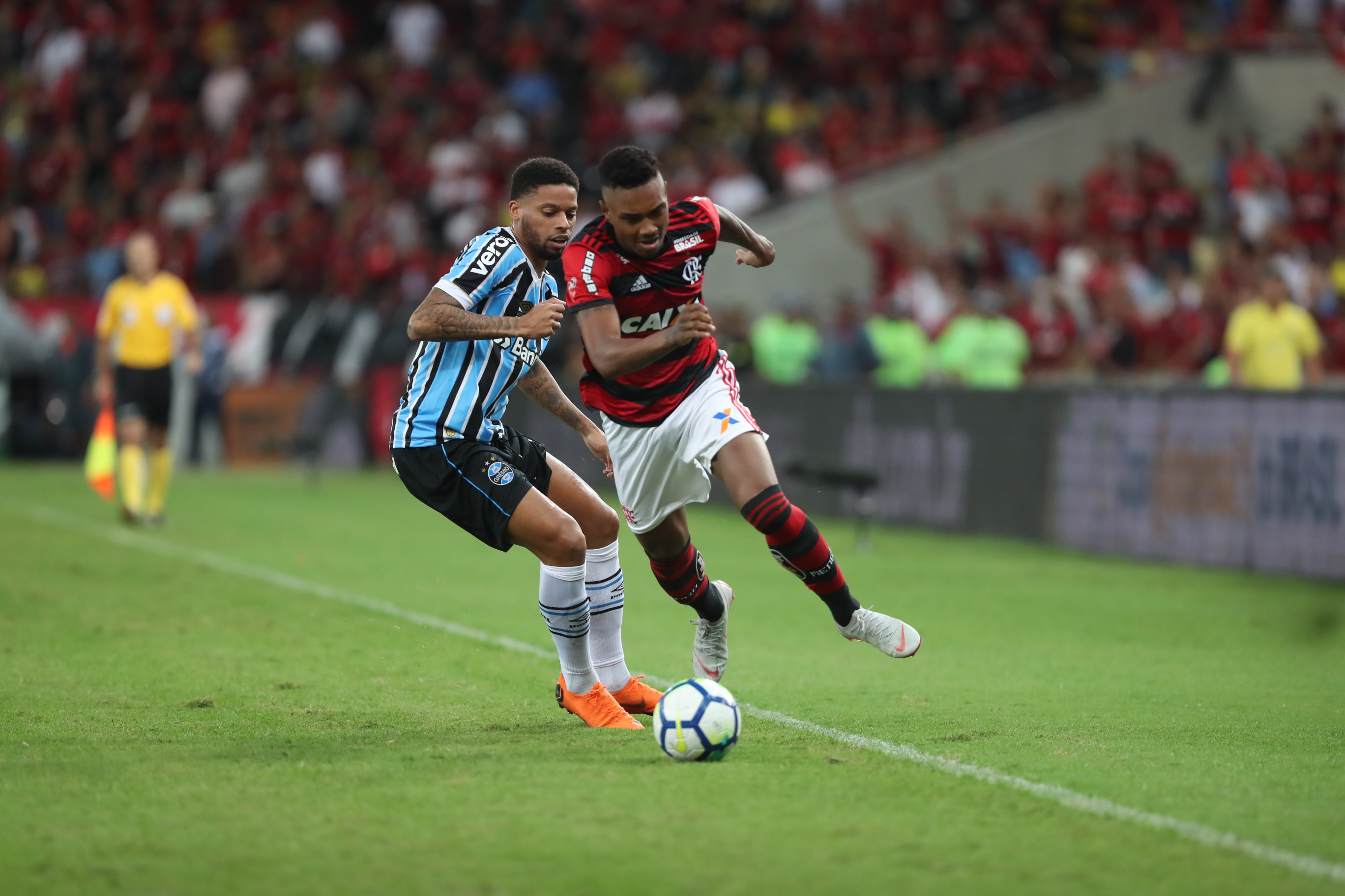 Imagem ilustrativa para a matéria