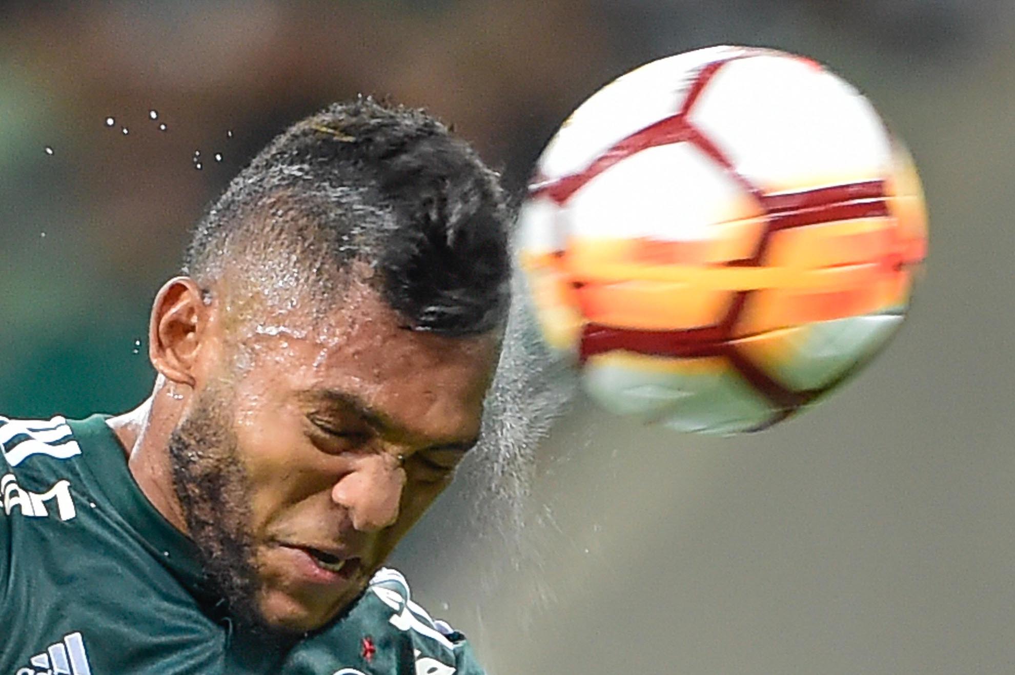 Imagem ilustrativa para a matéria