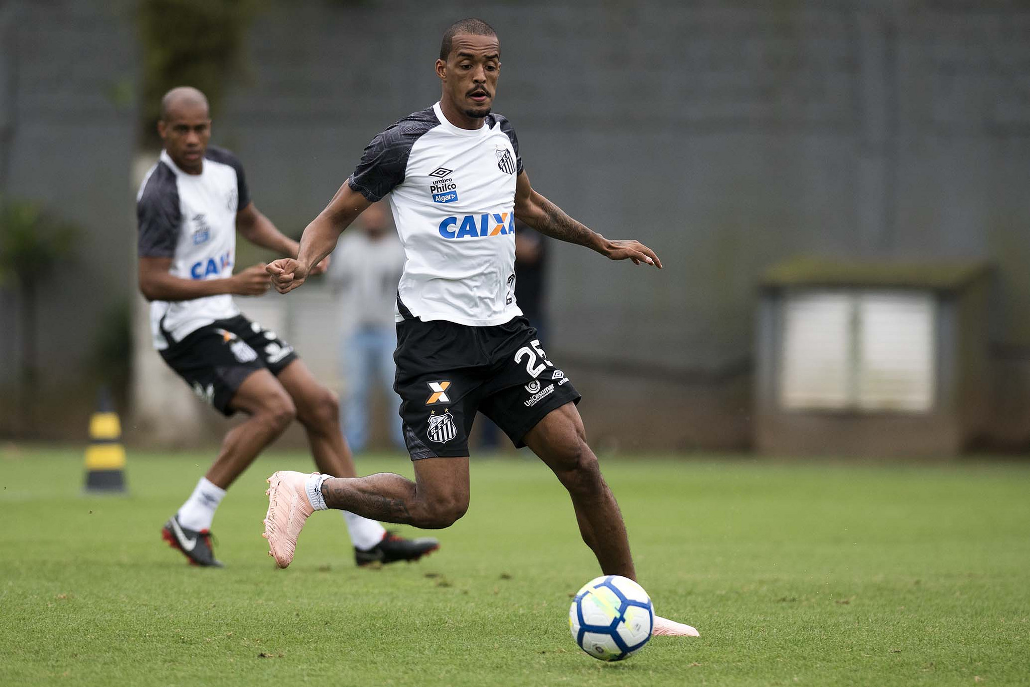 Imagem ilustrativa para a matéria