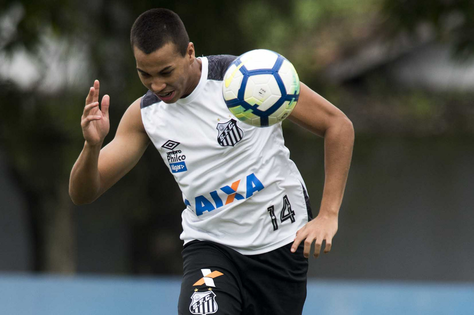 Imagem ilustrativa para a matéria