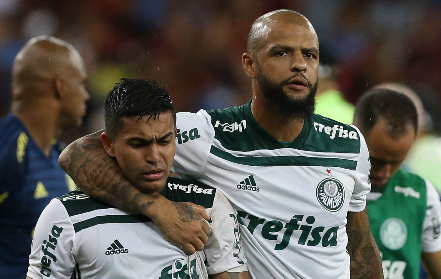 Imagem ilustrativa para a matéria