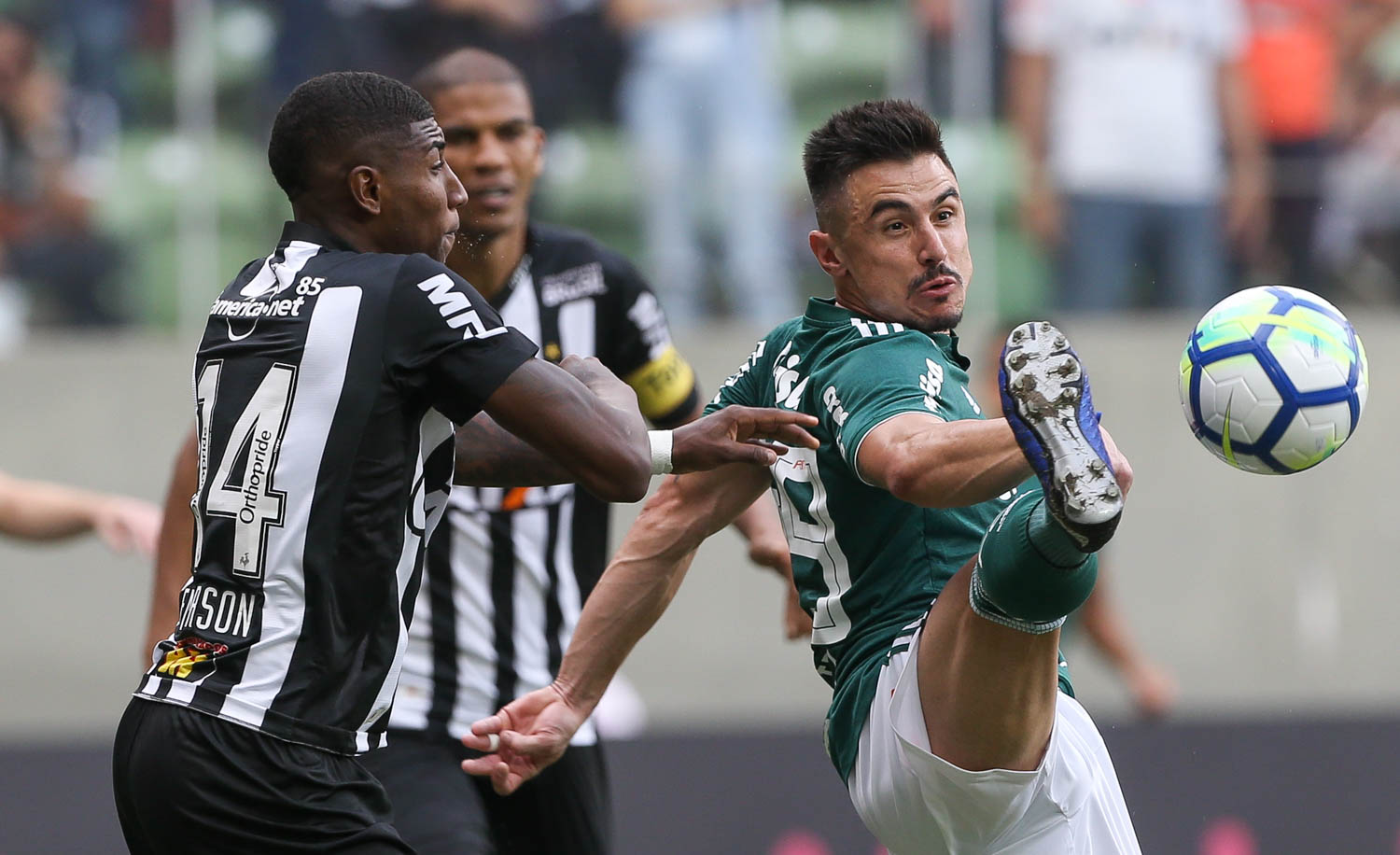 Imagem ilustrativa para a matéria