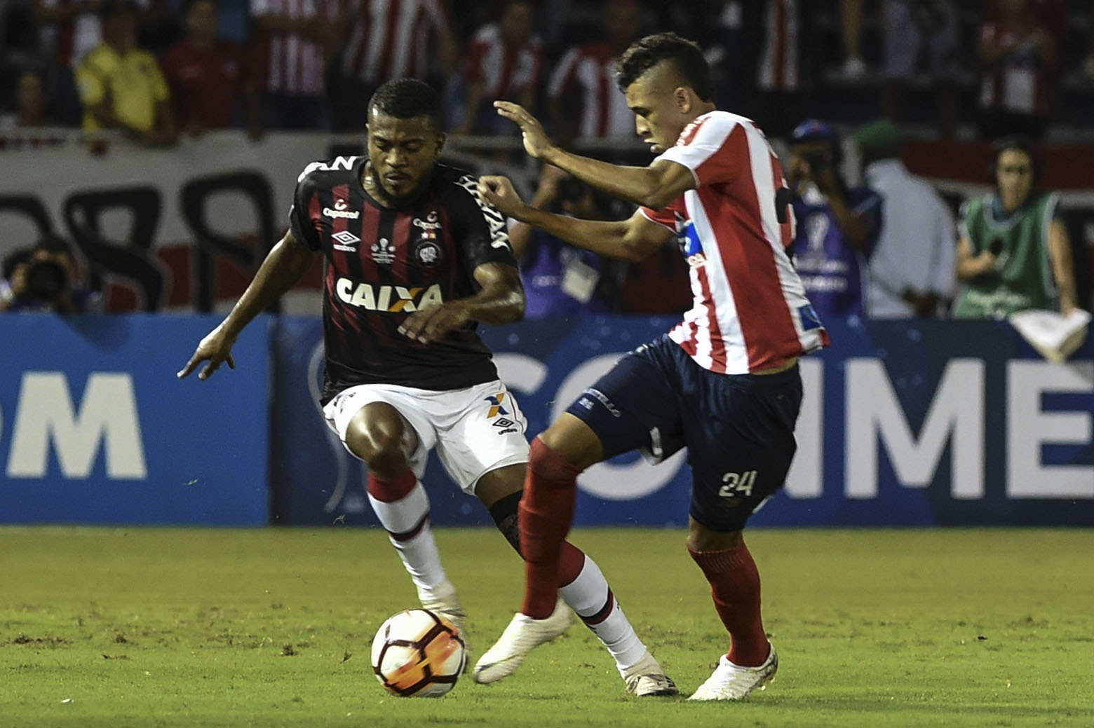 Imagem ilustrativa para a matéria
