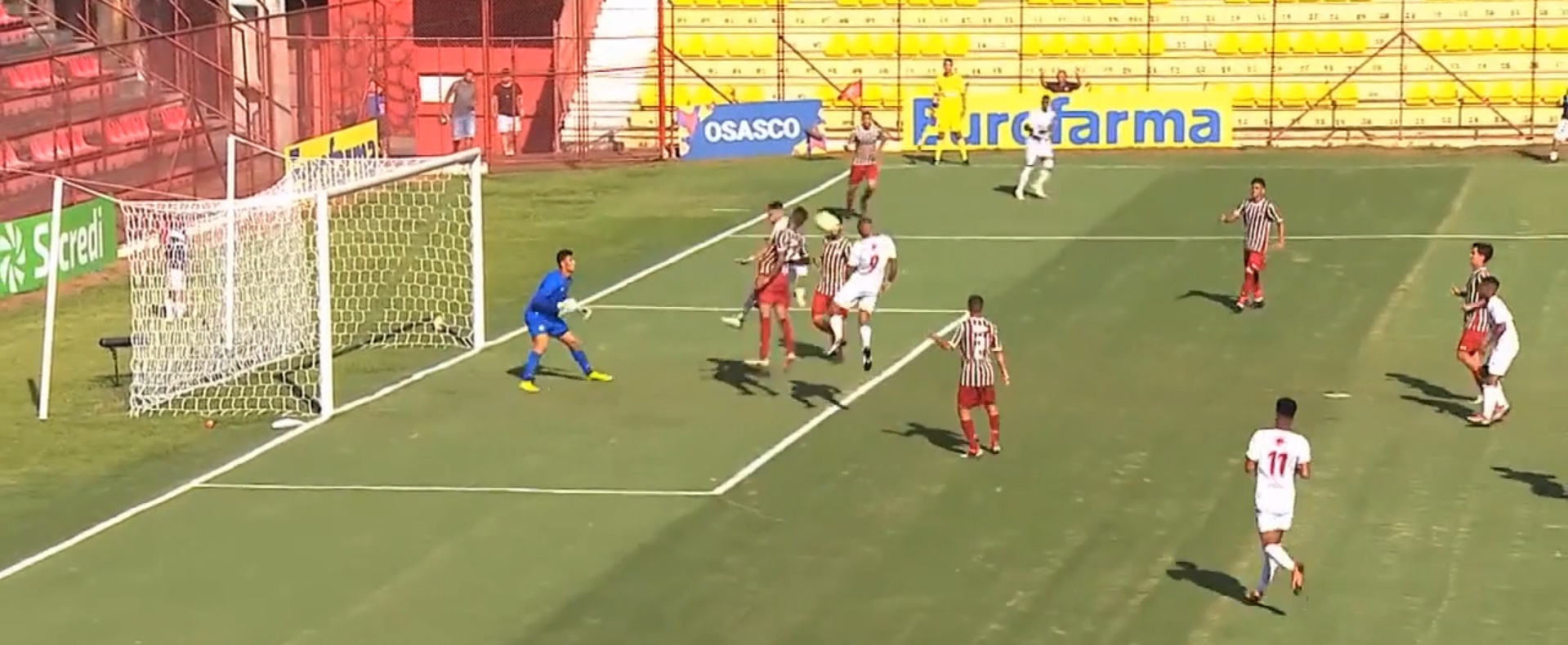 Imagem ilustrativa para a matéria