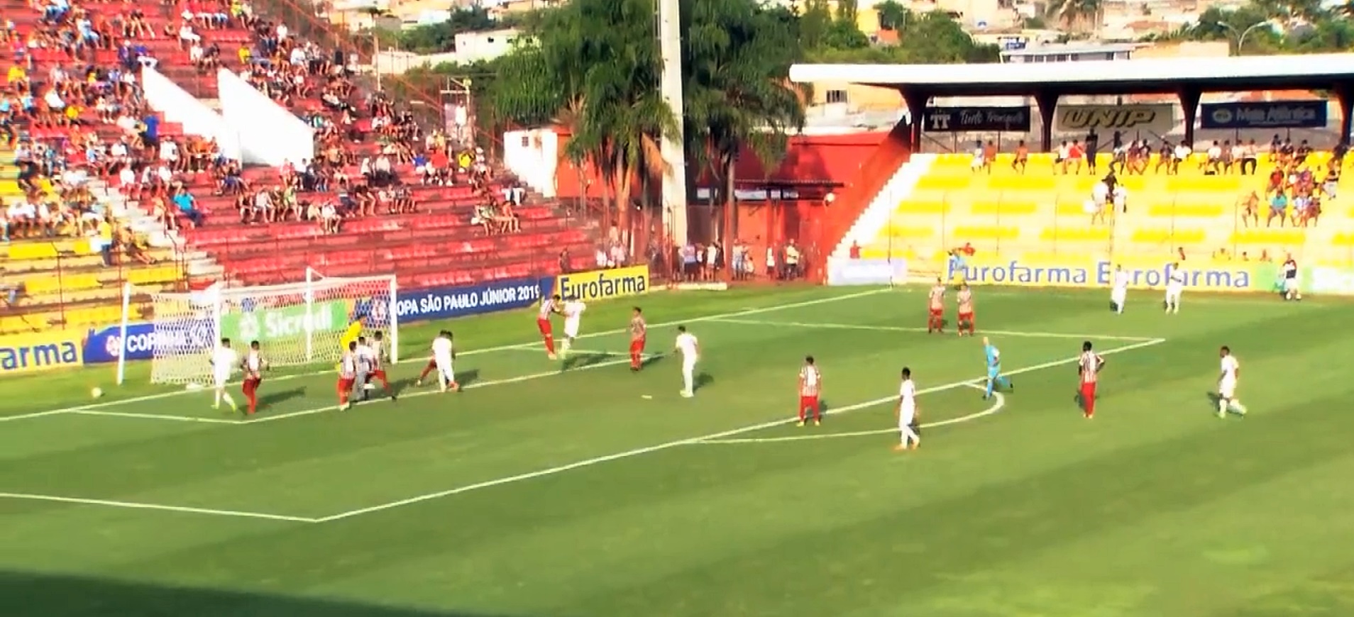 Imagem ilustrativa para a matéria