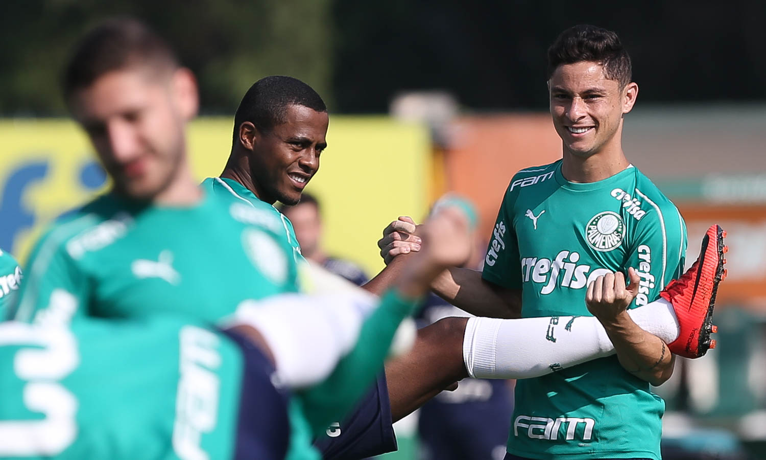 Imagem ilustrativa para a matéria