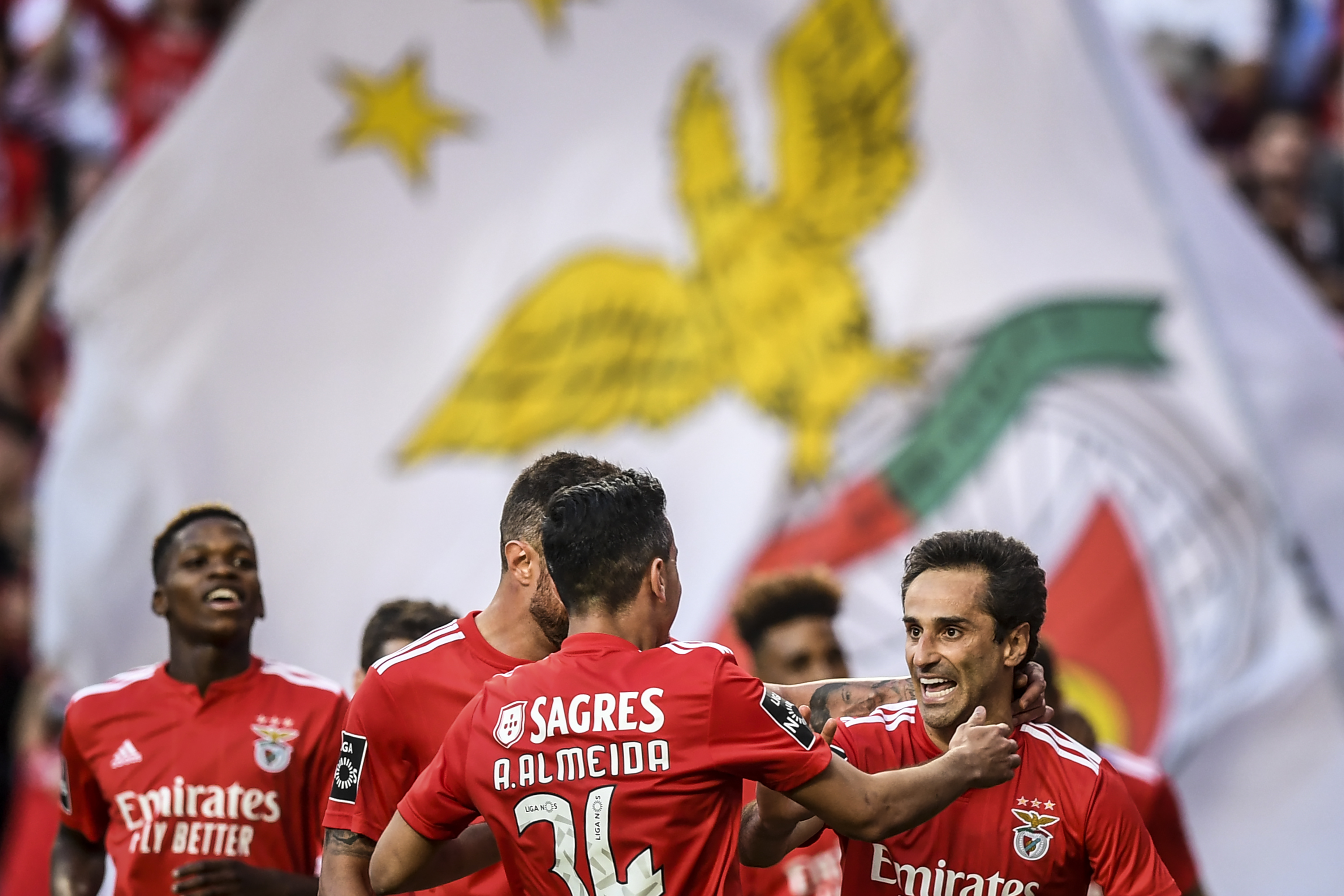 Imagem ilustrativa para a matéria