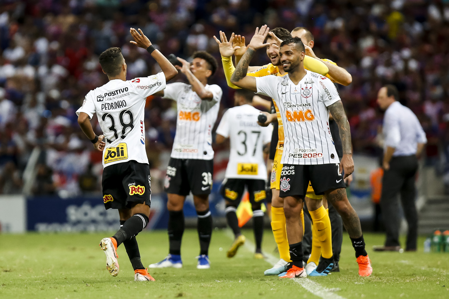 Imagem ilustrativa para a matéria