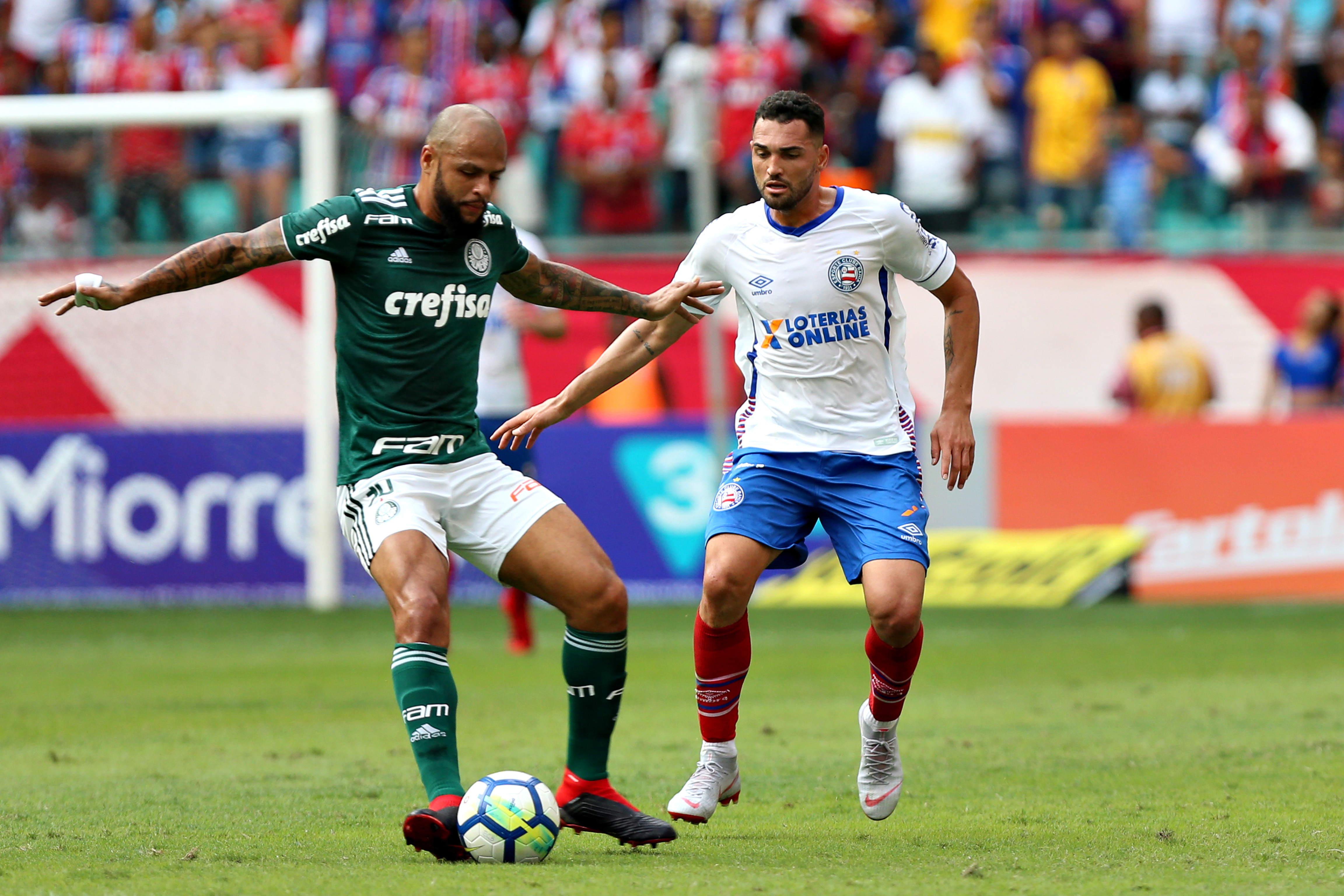 Confira o histórico do confronto entre Palmeiras e Bahia - Gazeta Esportiva