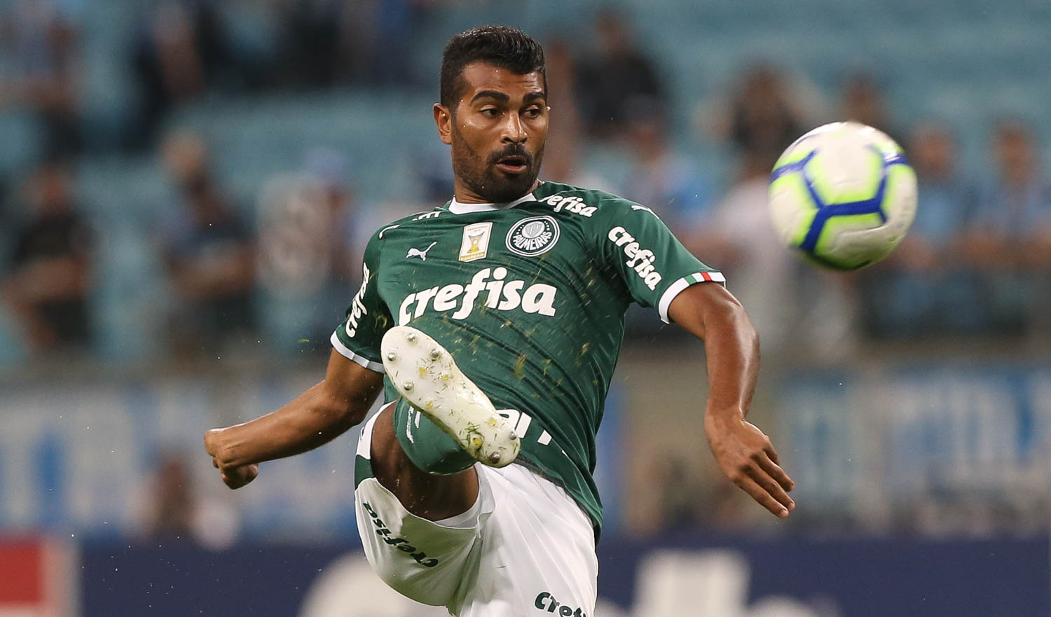 Imagem ilustrativa para a matéria