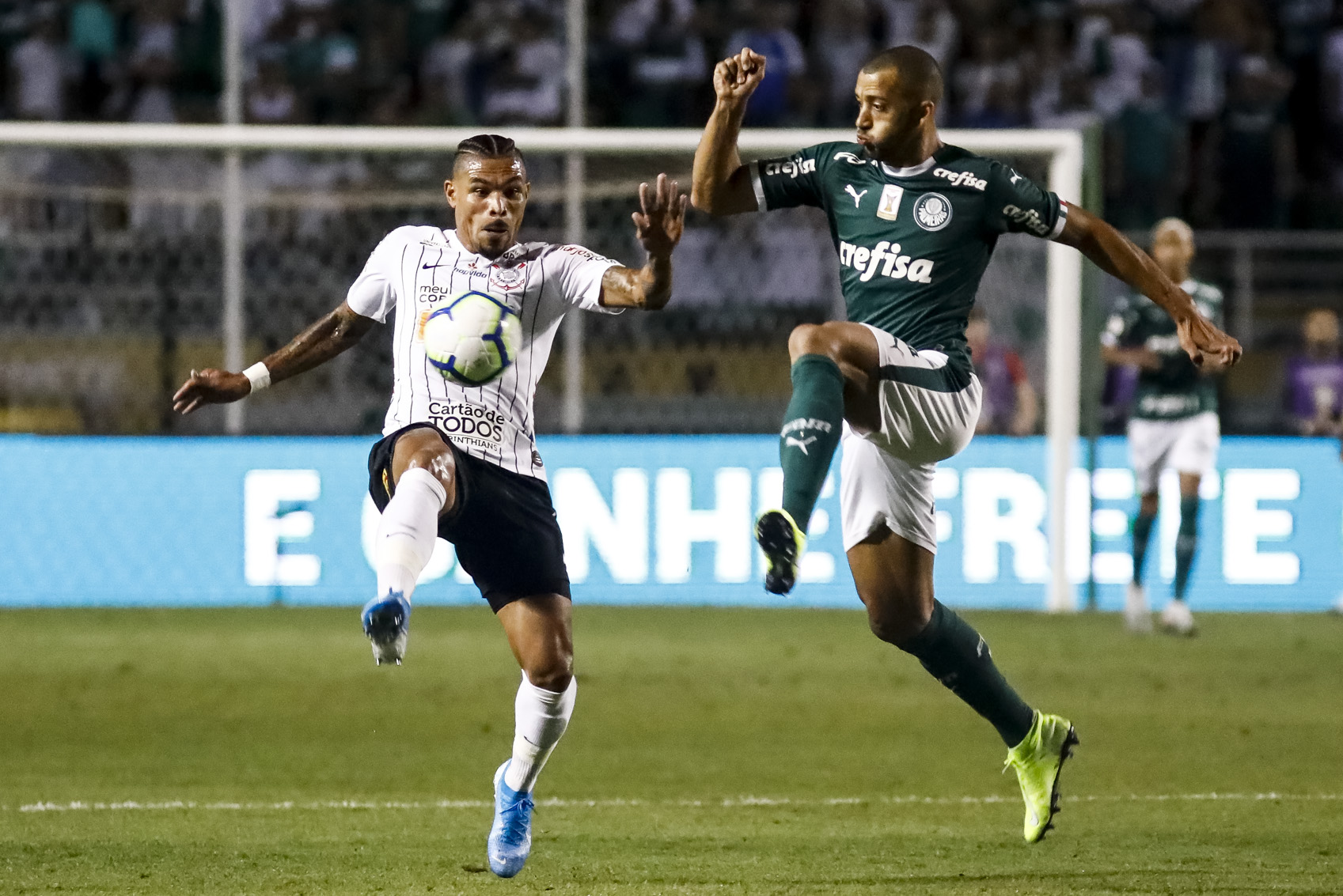Imagem ilustrativa para a matéria