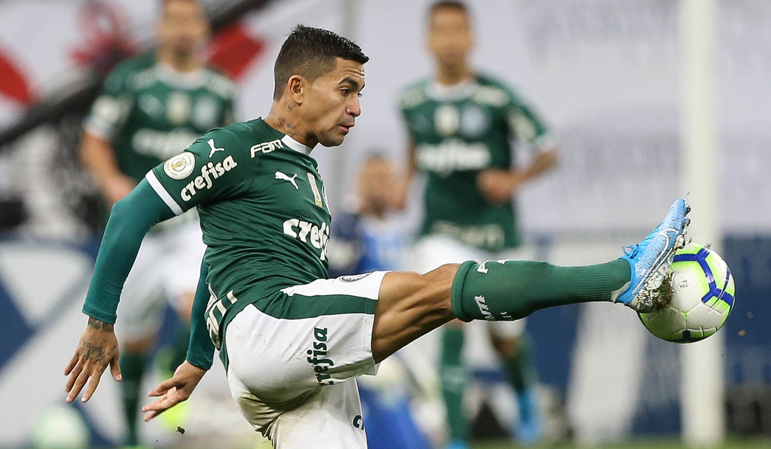 Imagem ilustrativa para a matéria