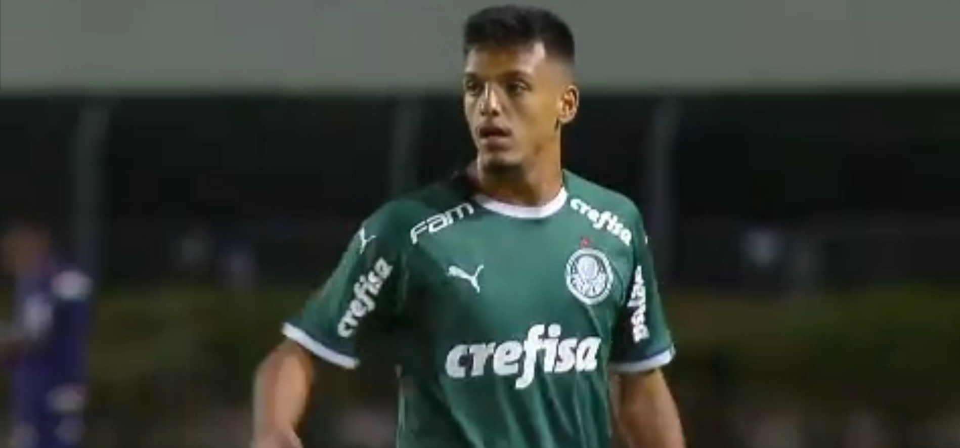 Imagem ilustrativa para a matéria
