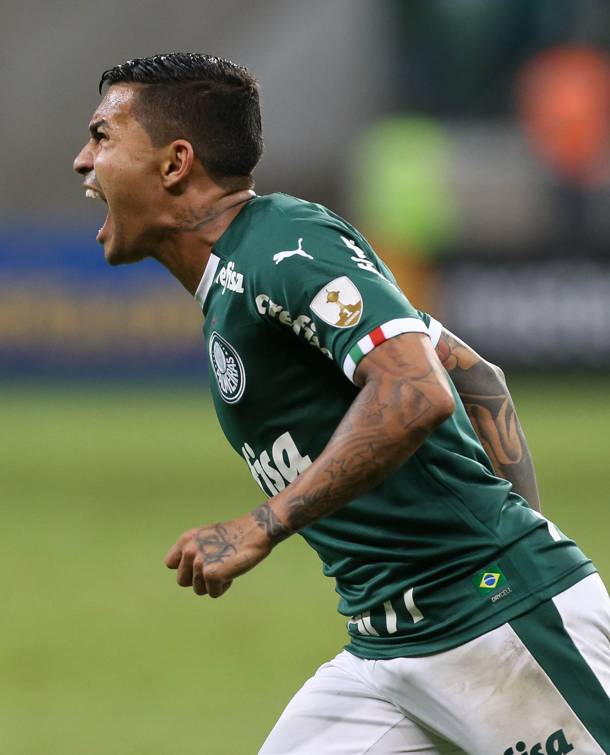 Imagem ilustrativa para a matéria