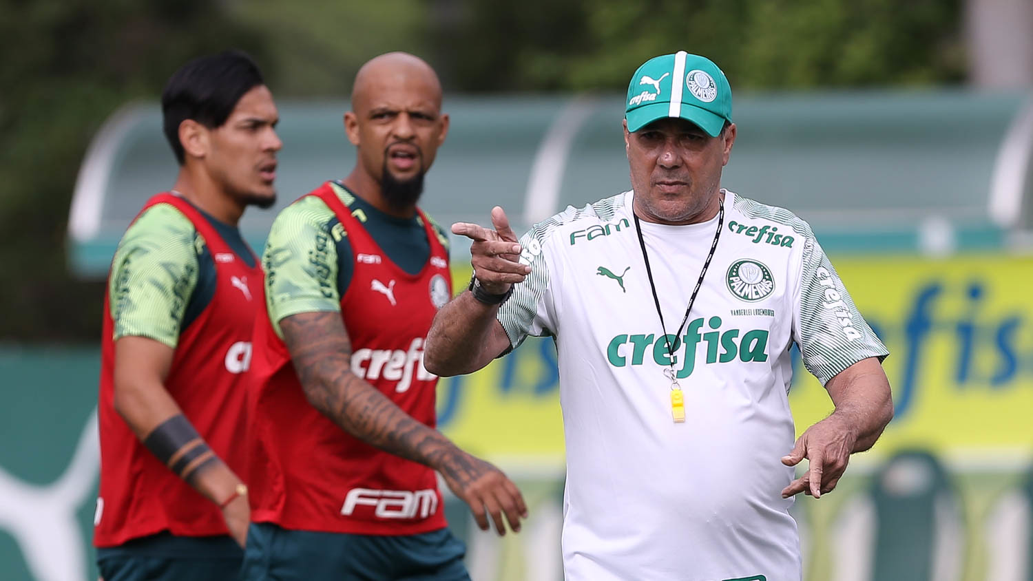 Imagem ilustrativa para a matéria