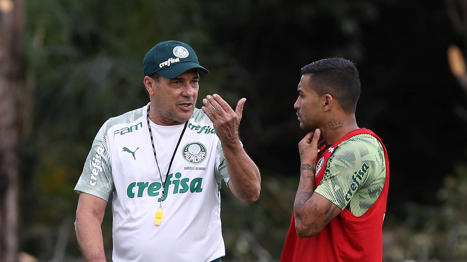 Imagem ilustrativa para a matéria