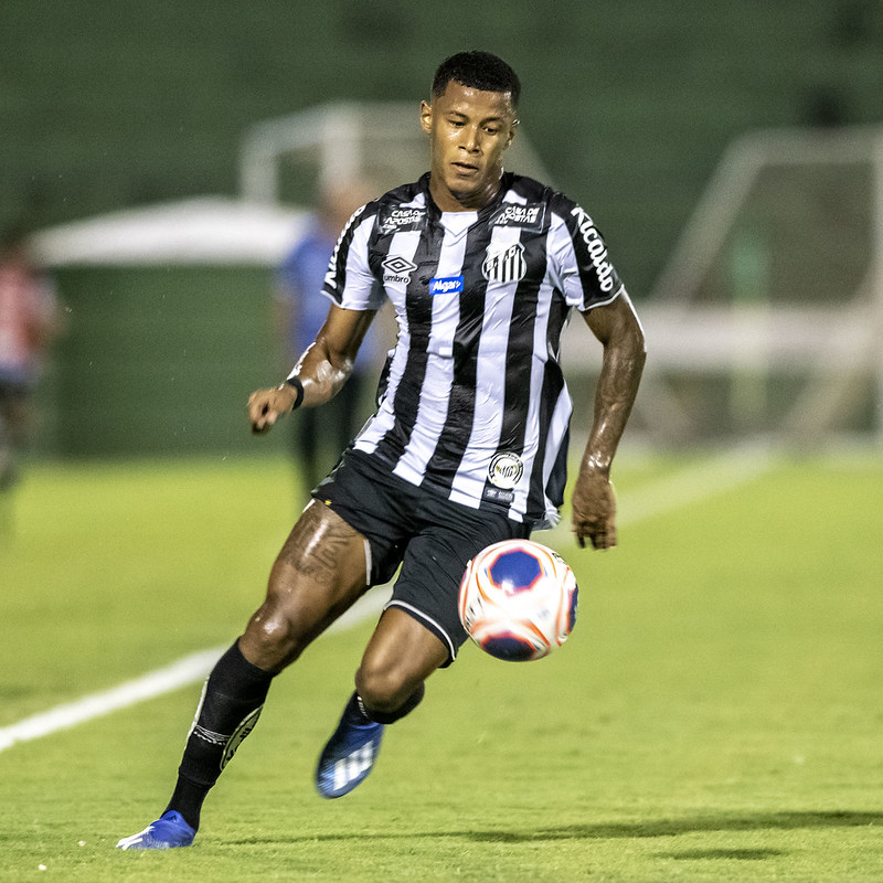 Imagem ilustrativa para a matéria