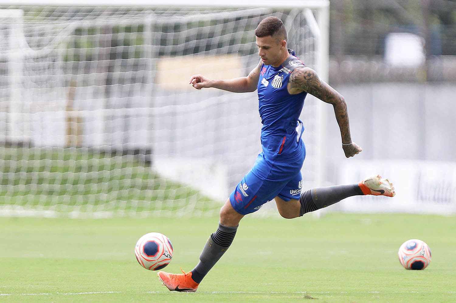 Imagem ilustrativa para a matéria