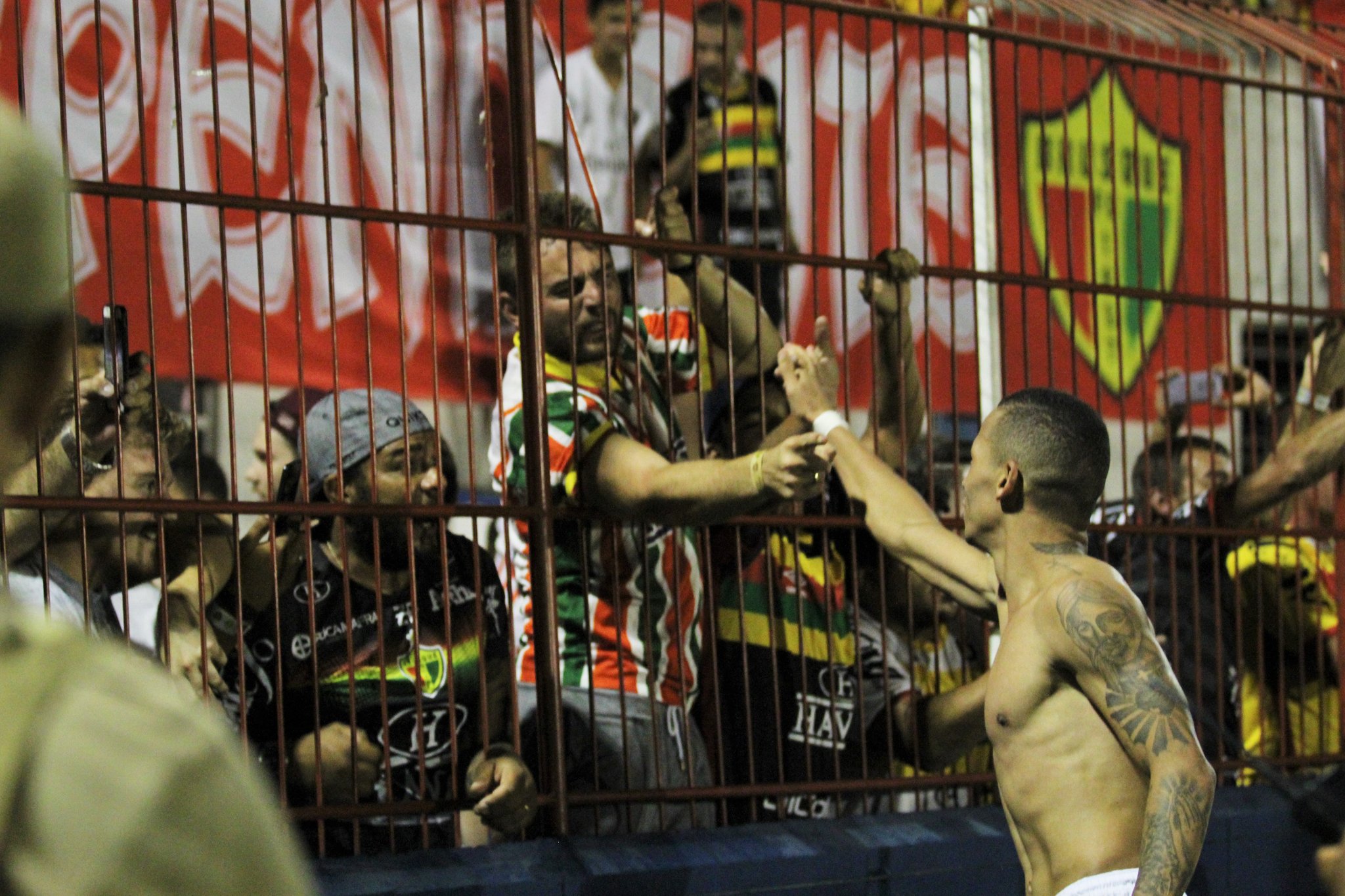 Imagem ilustrativa para a matéria