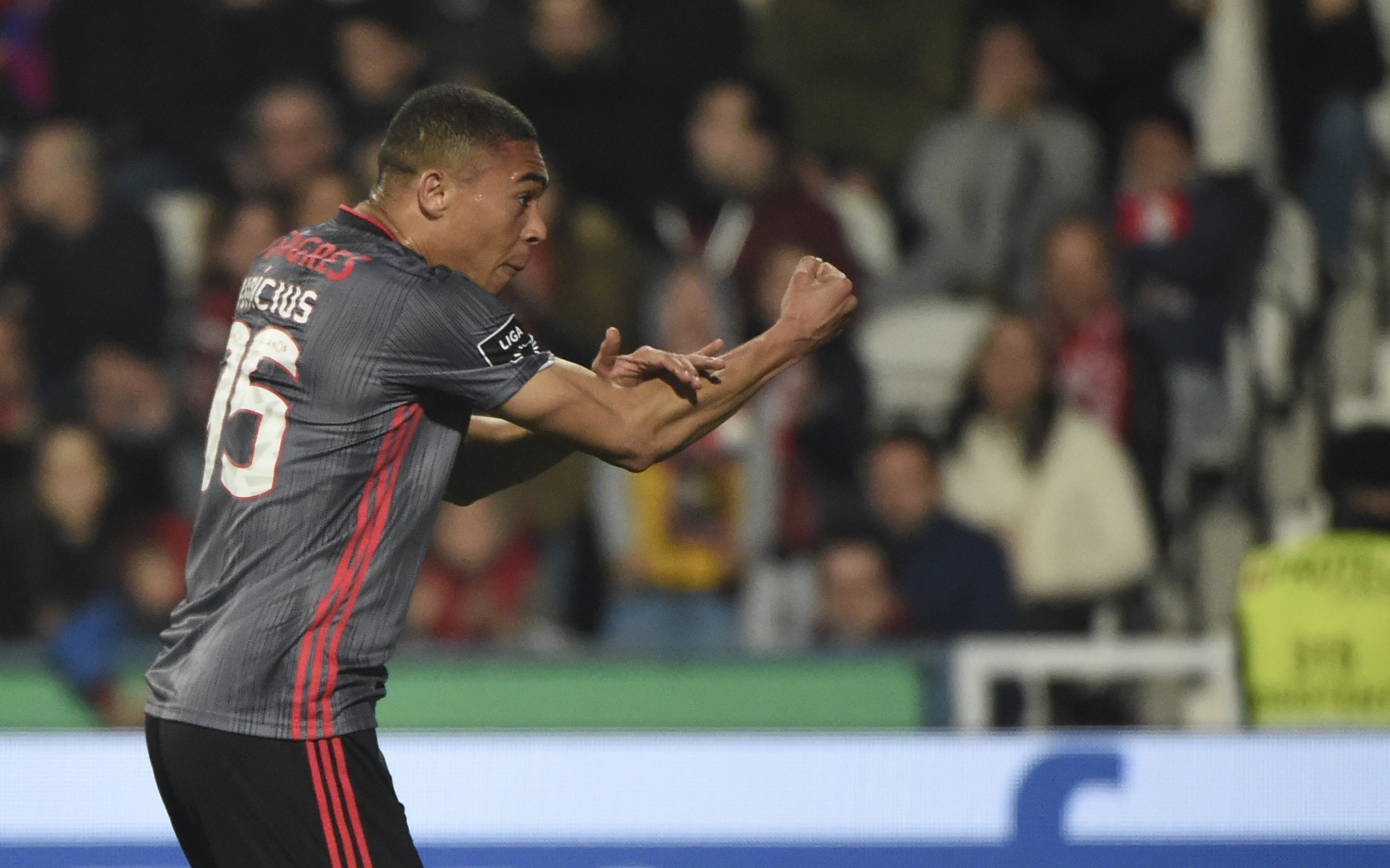 Imagem ilustrativa para a matéria