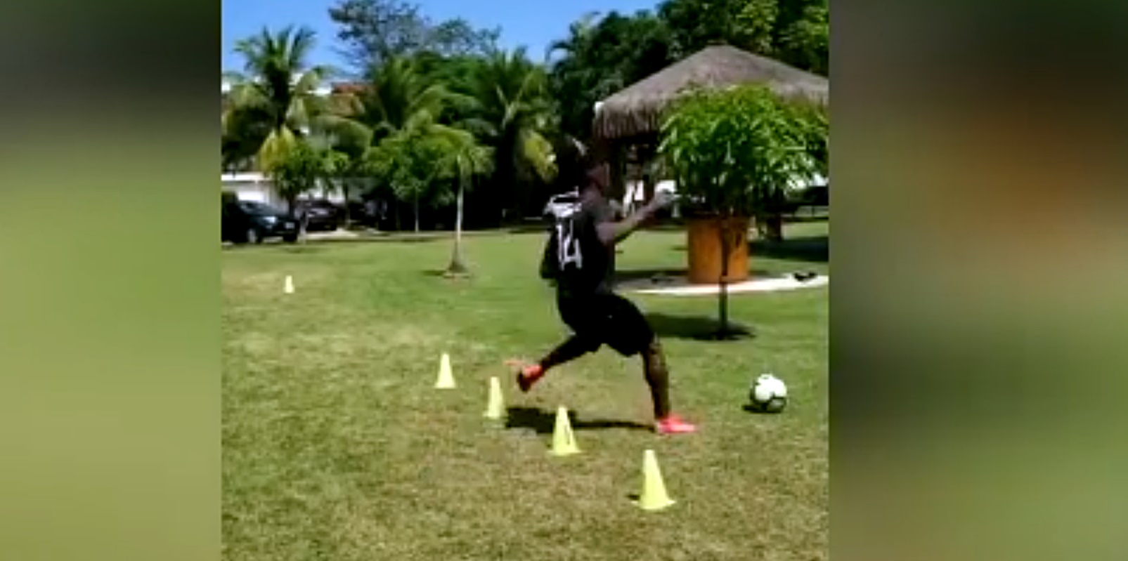 Imagem ilustrativa para a matéria