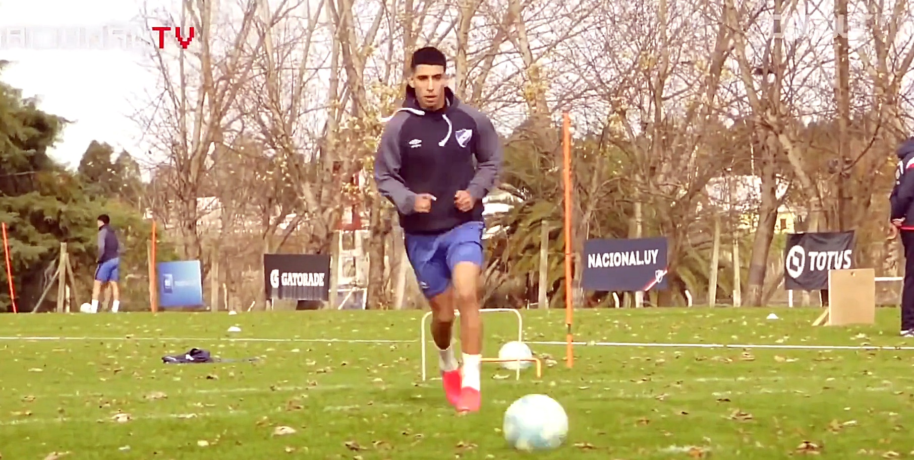 Imagem ilustrativa para a matéria