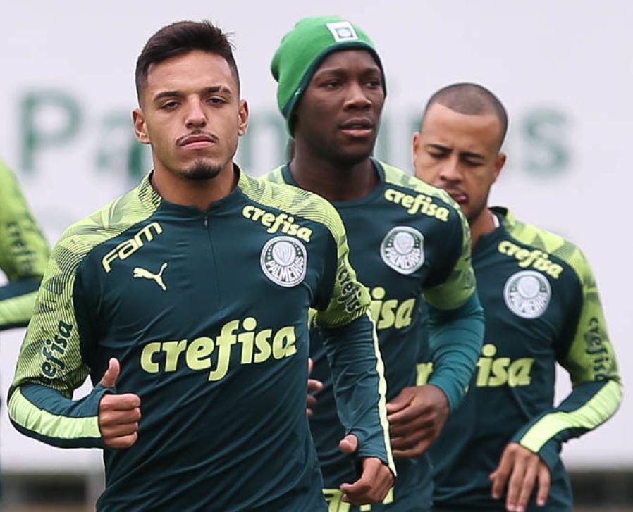 Imagem ilustrativa para a matéria